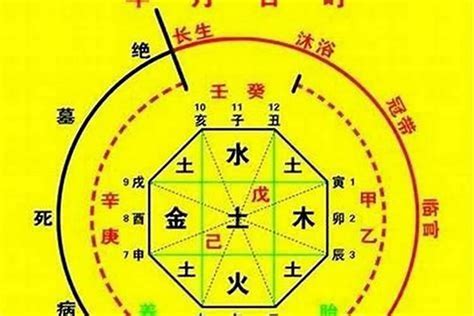 四柱八字|生辰八字算命、五行喜用神查询（免费测算）